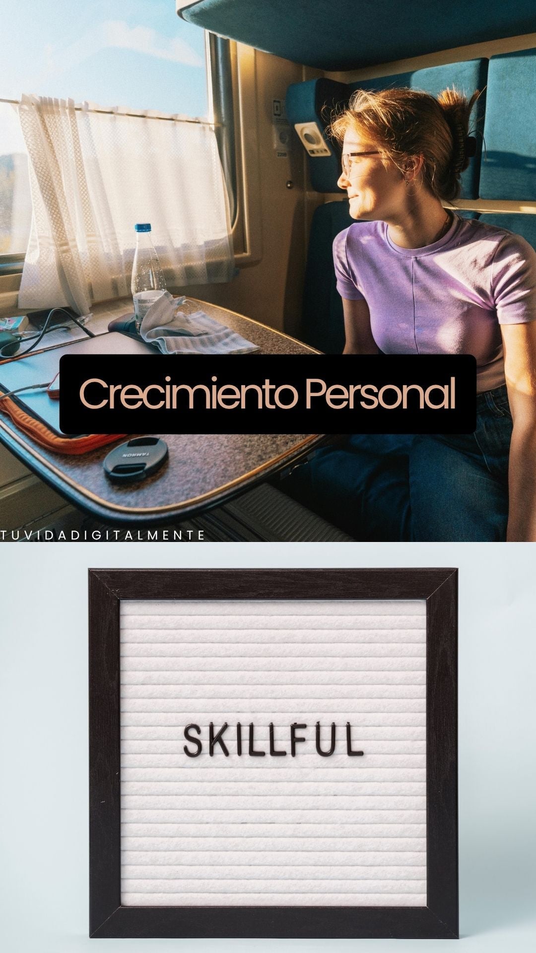 Habilidades y Estilos de Vida